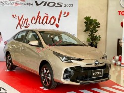 Ảnh số 8