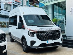 Bán ô tô Ford Transit Limousine 12S - 2025 - xe mới