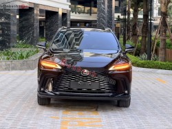 Bán ô tô Lexus RX 350 Premium - 2023 - xe cũ