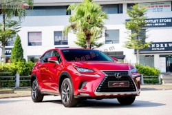 Bán ô tô Lexus NX 300 - 2019 - xe cũ