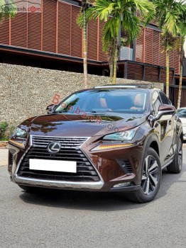 Bán ô tô Lexus NX 300 - 2019 - xe cũ