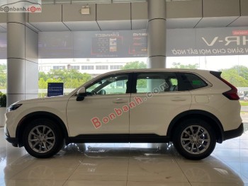 Bán ô tô Honda CRV G - 2026 - xe mới