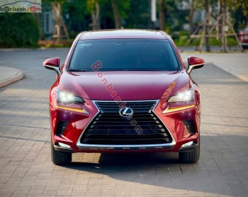Bán ô tô Lexus NX 300 - 2019 - xe cũ