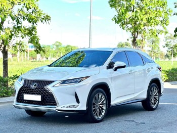 Cần bán Lexus RX300 năm sản xuất 2020