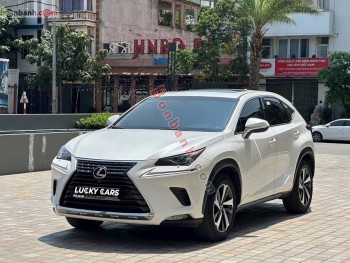 Bán ô tô Lexus NX 300 - 2019 - xe cũ