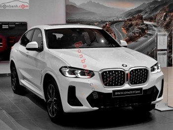 Bán ô tô BMW X4 xDrive20i M Sport - 2023 - xe mới