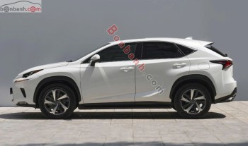 Bán ô tô Lexus NX 300 - 2019 - xe cũ