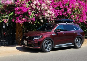 Bán ô tô Kia Sorento Signature 2.5 AT AWD - 2023 - xe cũ