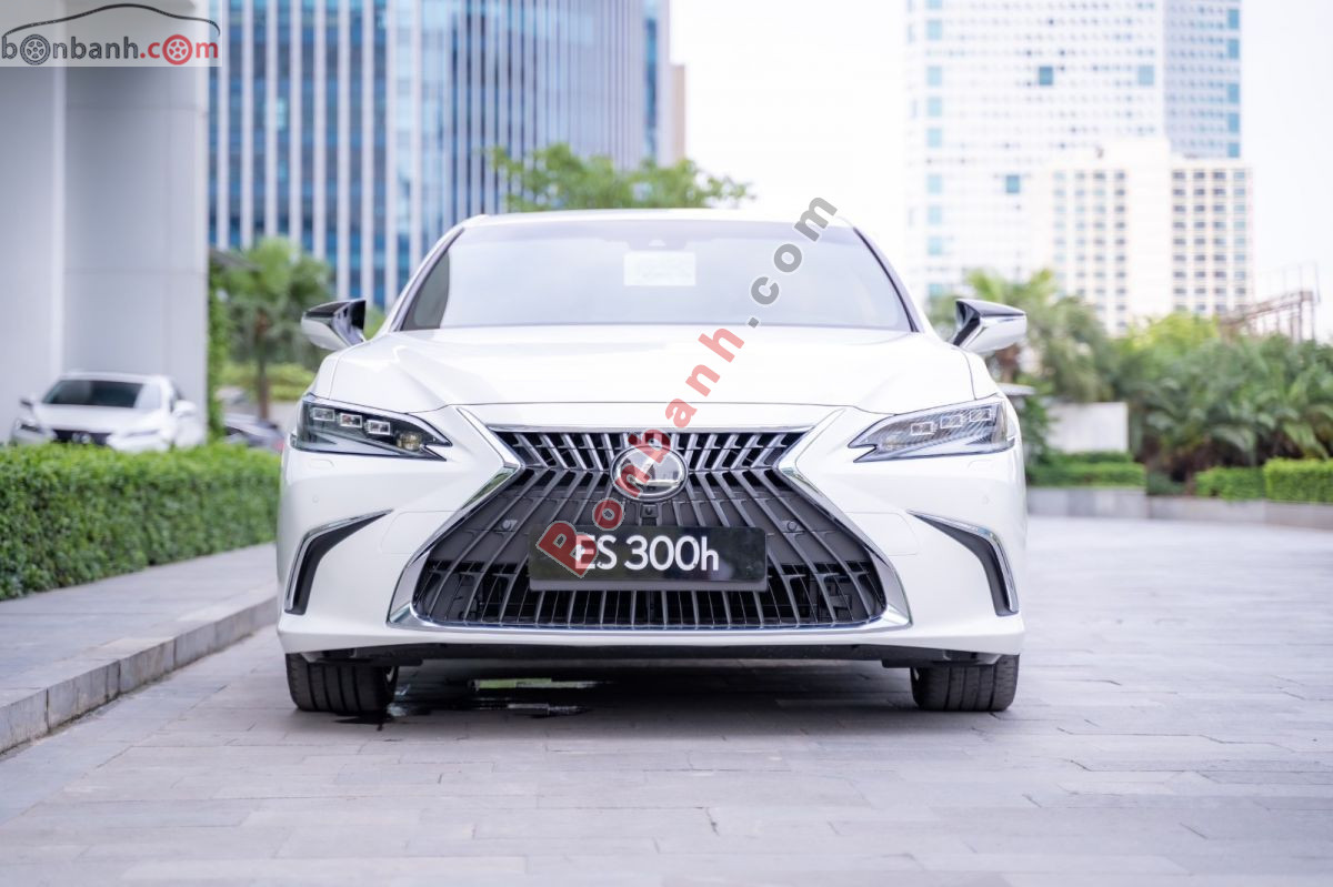 Bán ô tô Lexus ES 300h - 2024 - xe mới