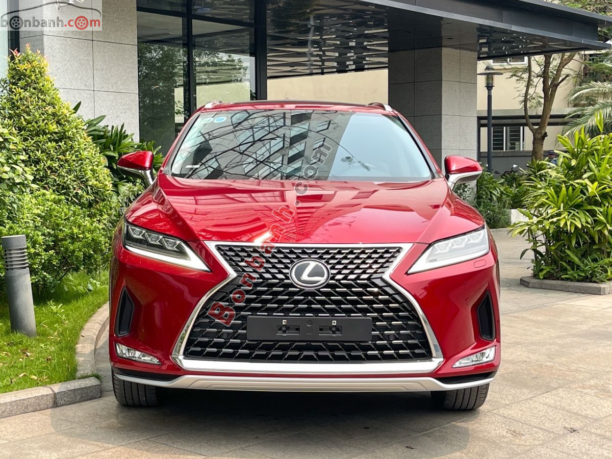 Bán ô tô Lexus RX 300 - 2020 - xe cũ