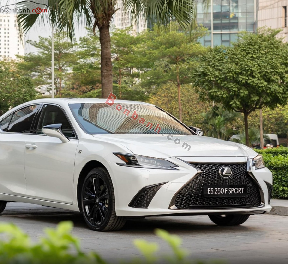 Bán ô tô Lexus ES 250 F Sport - 2024 - xe mới