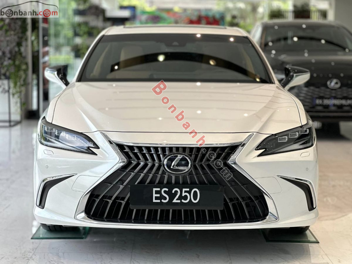 Bán ô tô Lexus ES 250 - 2024 - xe mới