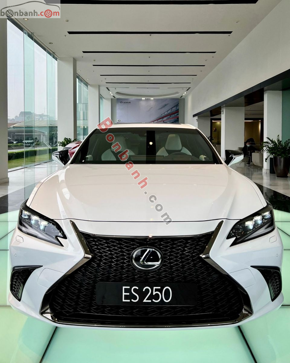 Bán ô tô Lexus ES 250 F Sport - 2024 - xe mới