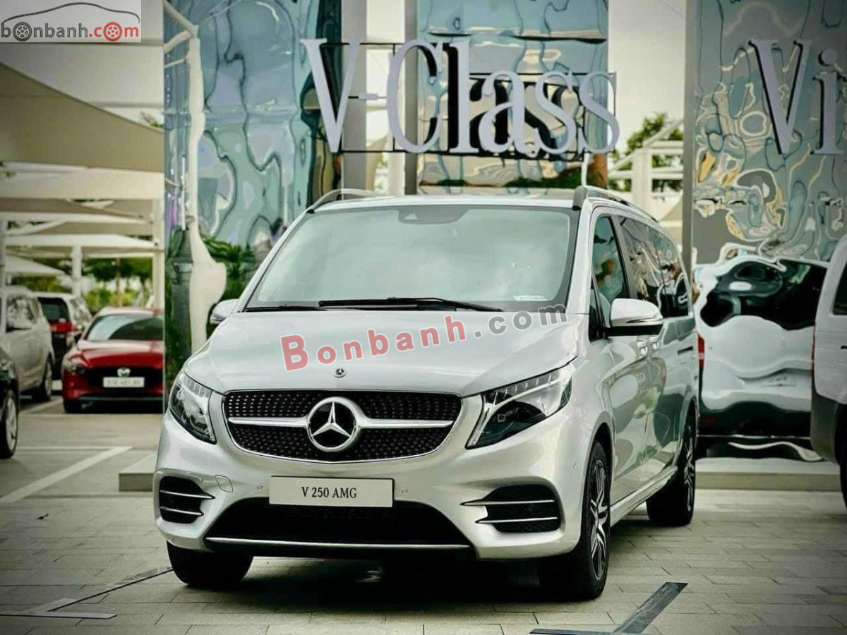 Bán ô tô Mercedes Benz V class V250 AMG - 2024 - xe mới