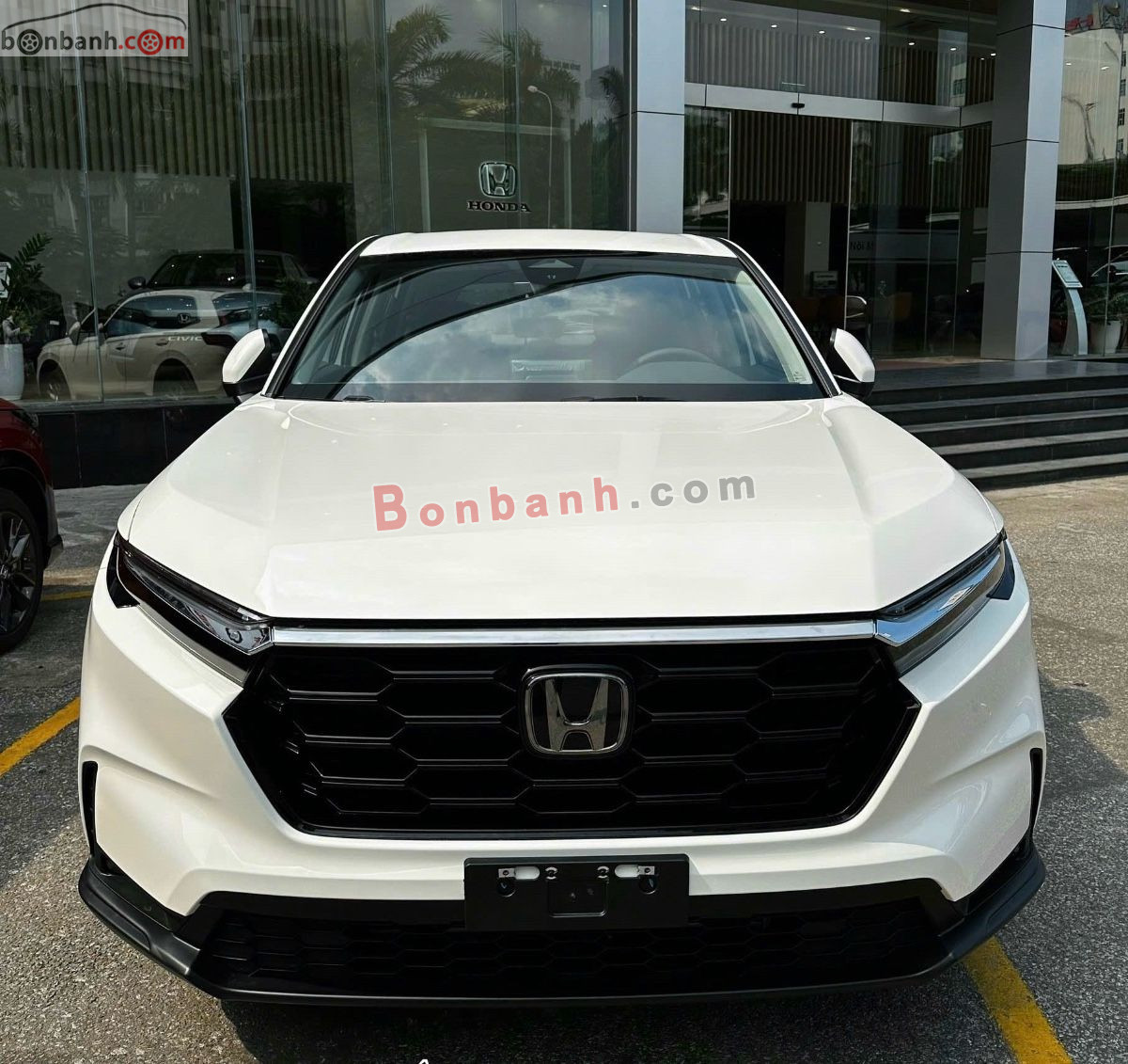 Bán ô tô Honda CRV G - 2024 - xe mới