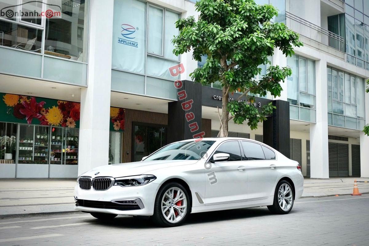 Bán ô tô BMW 5 Series 530i - 2019 - xe cũ