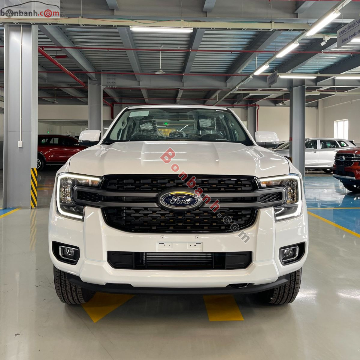 Bán ô tô Ford Ranger XLS 2.0L 4x2 AT - 2025 - xe mới