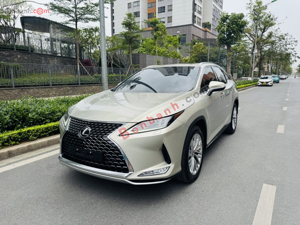 Bán ô tô Lexus RX 300 - 2019 - xe cũ