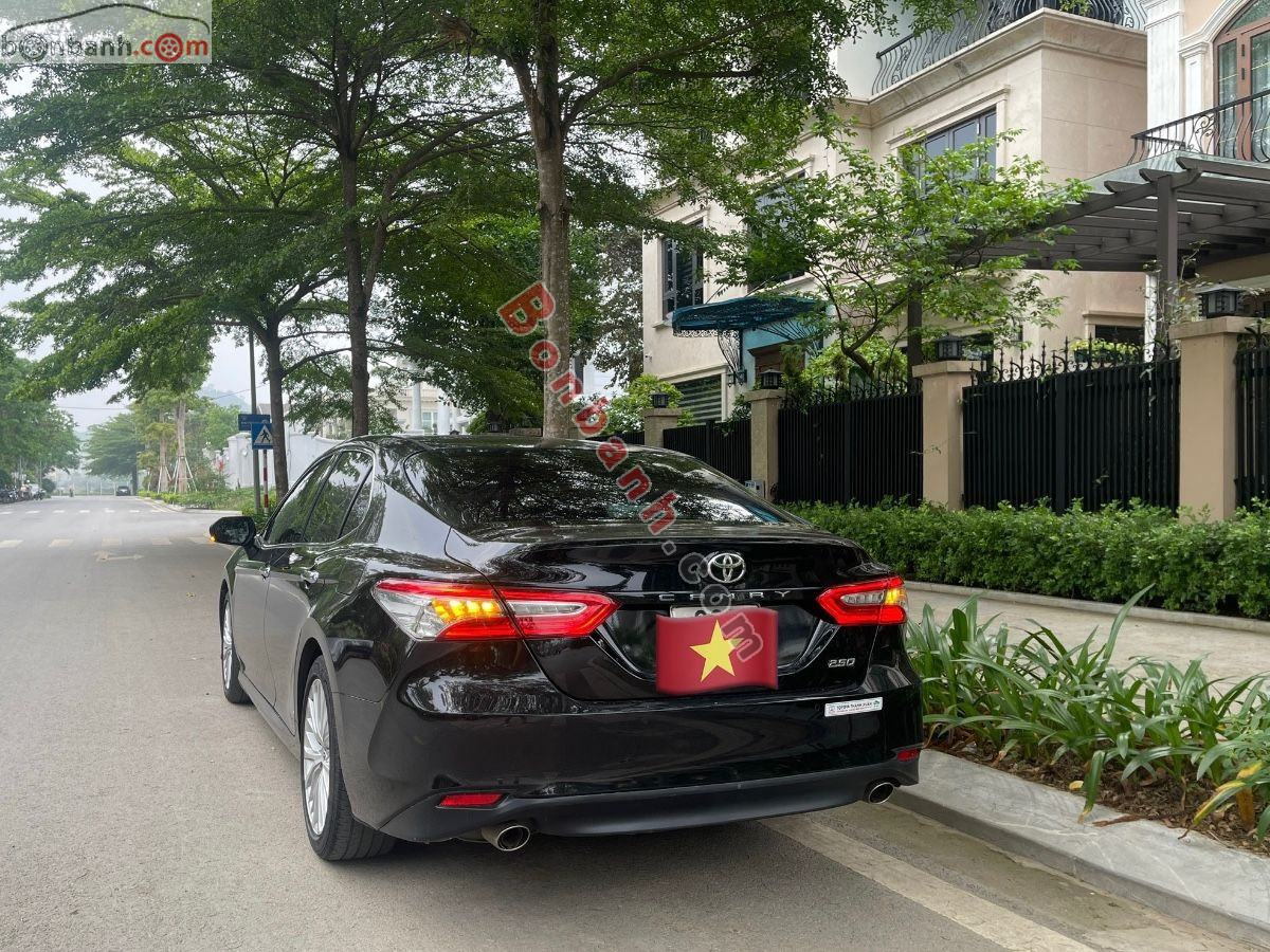 Ảnh số 7