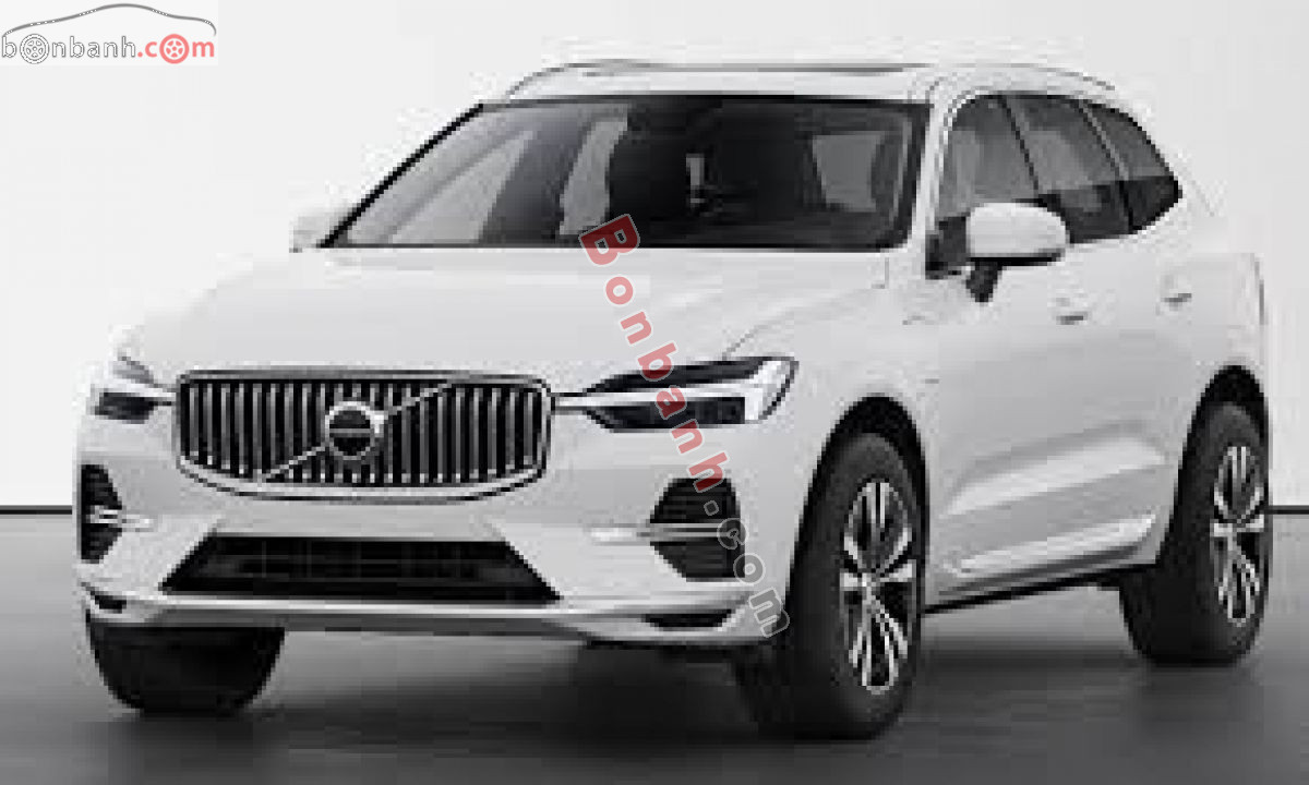 Ảnh số 11