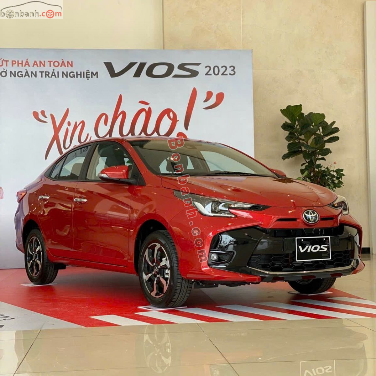Bán ô tô Toyota Vios G 1.5 CVT - 2025 - xe mới