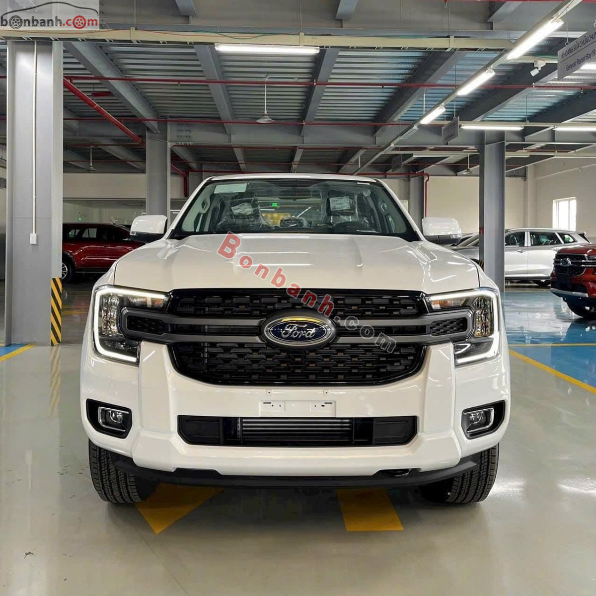 Bán ô tô Ford Ranger XLS 2.0L 4x2 AT - 2025 - xe mới