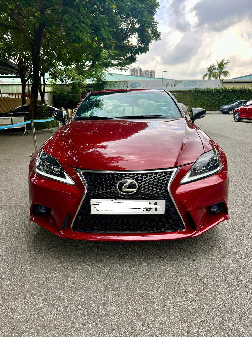 Lexus IS250C mui trần – Đẹp xuất sắc, SX 2010