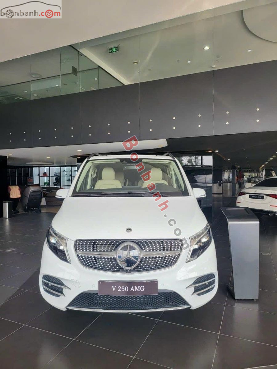 Bán ô tô Mercedes Benz V class V250 AMG - 2024 - xe mới