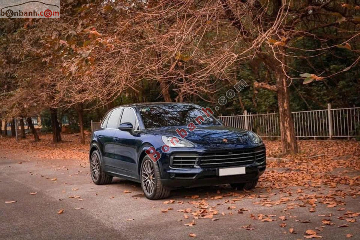 Bán ô tô Porsche Cayenne 3.0 V6 - 2019 - xe cũ