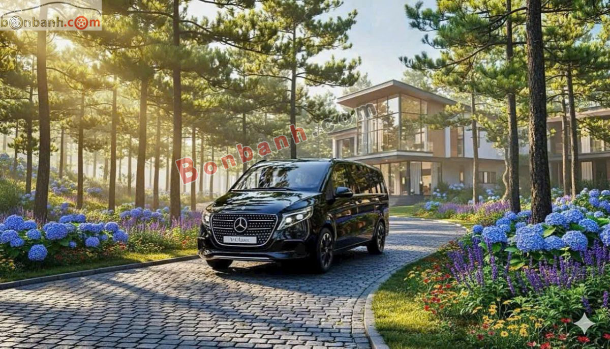Bán ô tô Mercedes Benz V class V300 Avantgarde - 2025 - xe mới