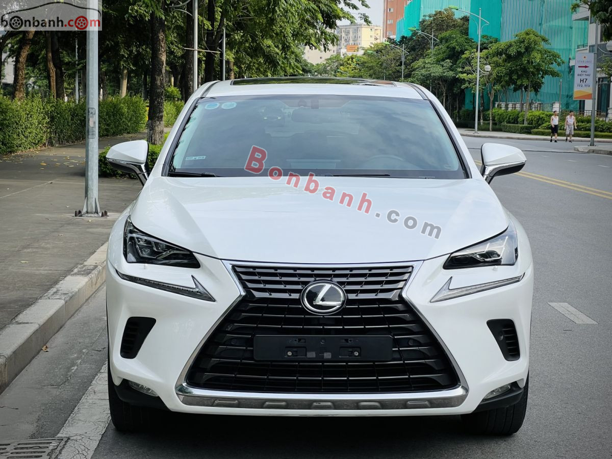 Bán ô tô Lexus NX 300 - 2019 - xe cũ