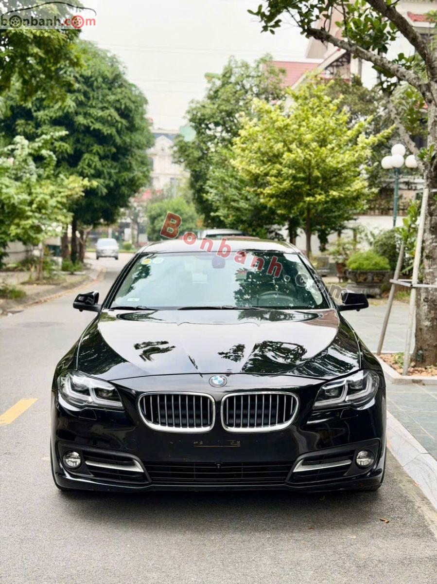 Bán ô tô BMW 5 Series 523i - 2010 - xe cũ