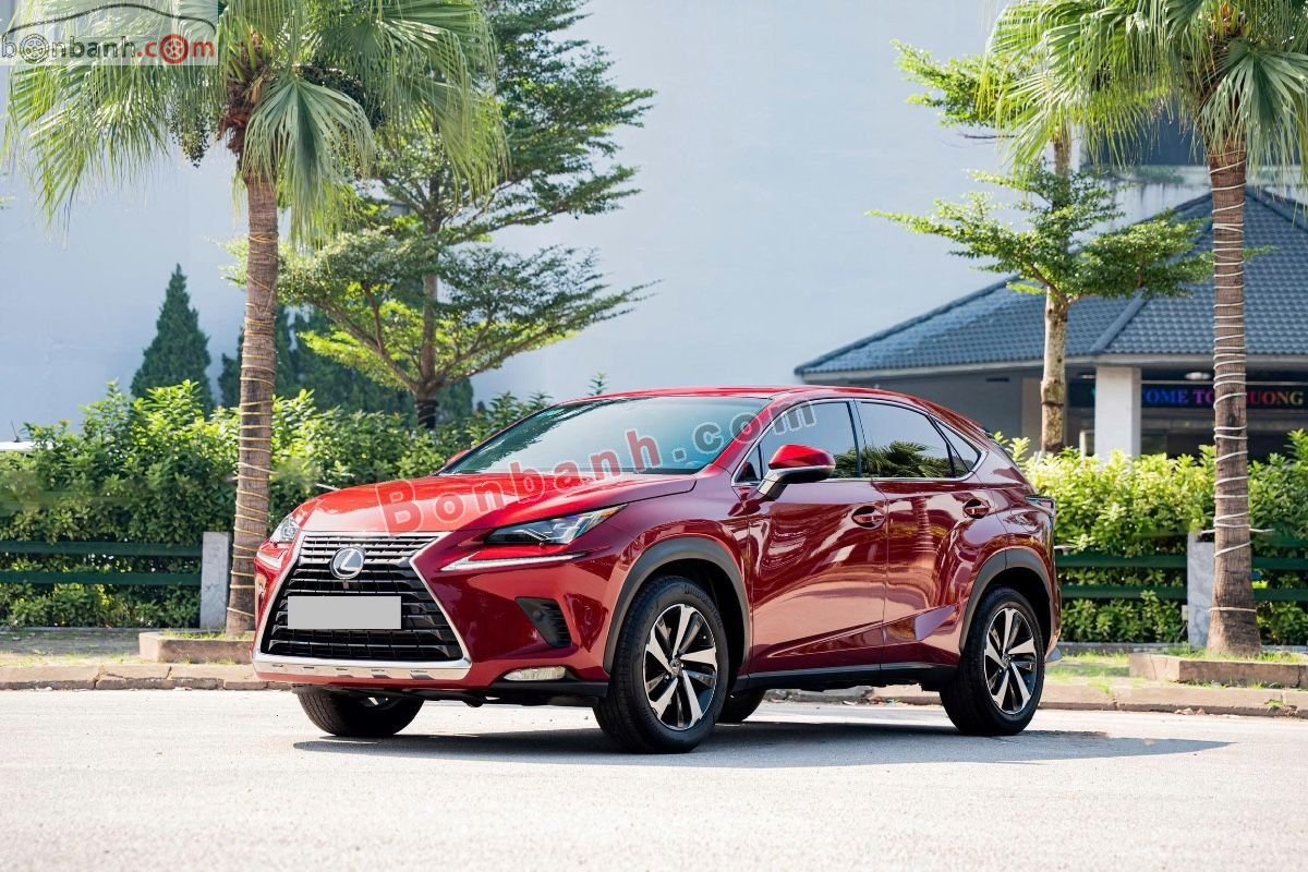 Bán ô tô Lexus NX 300 - 2019 - xe cũ