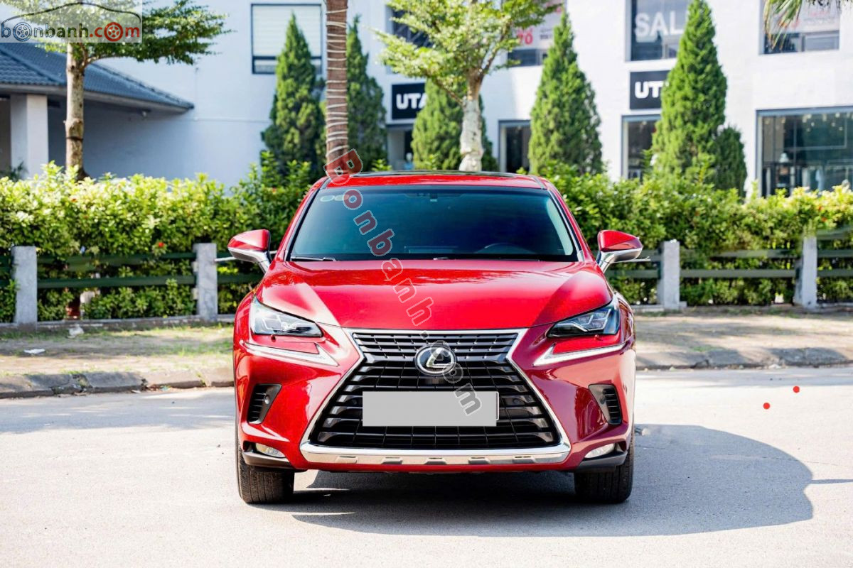 Bán ô tô Lexus NX 300 - 2019 - xe cũ