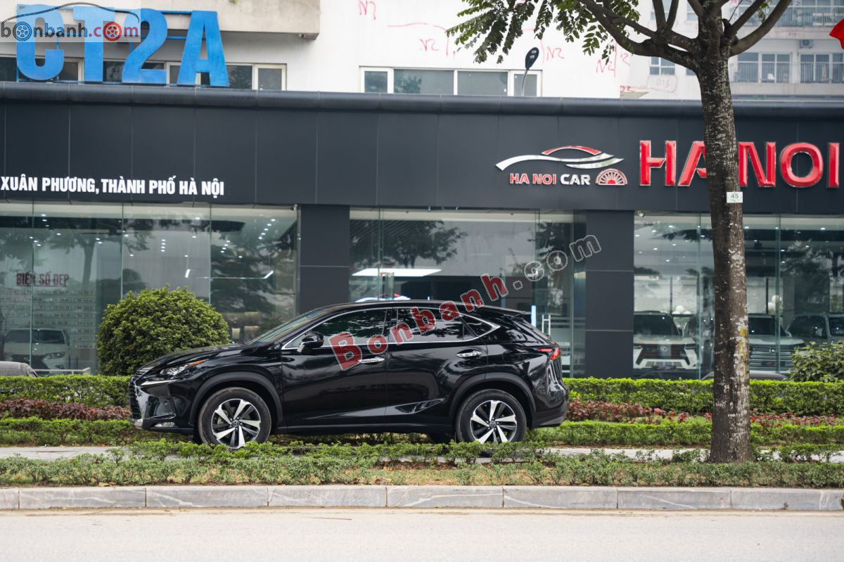 Bán ô tô Lexus NX 300 - 2019 - xe cũ