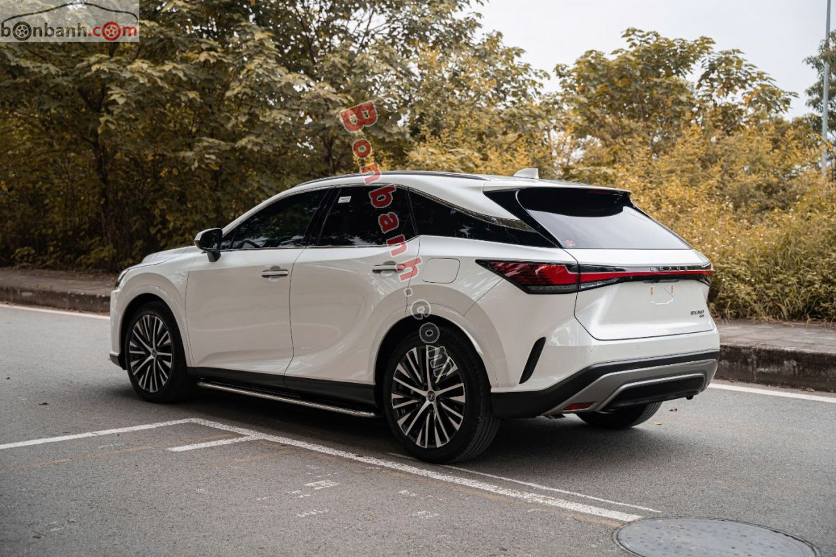 Bán ô tô Lexus RX 350 Premium - 2024 - xe cũ