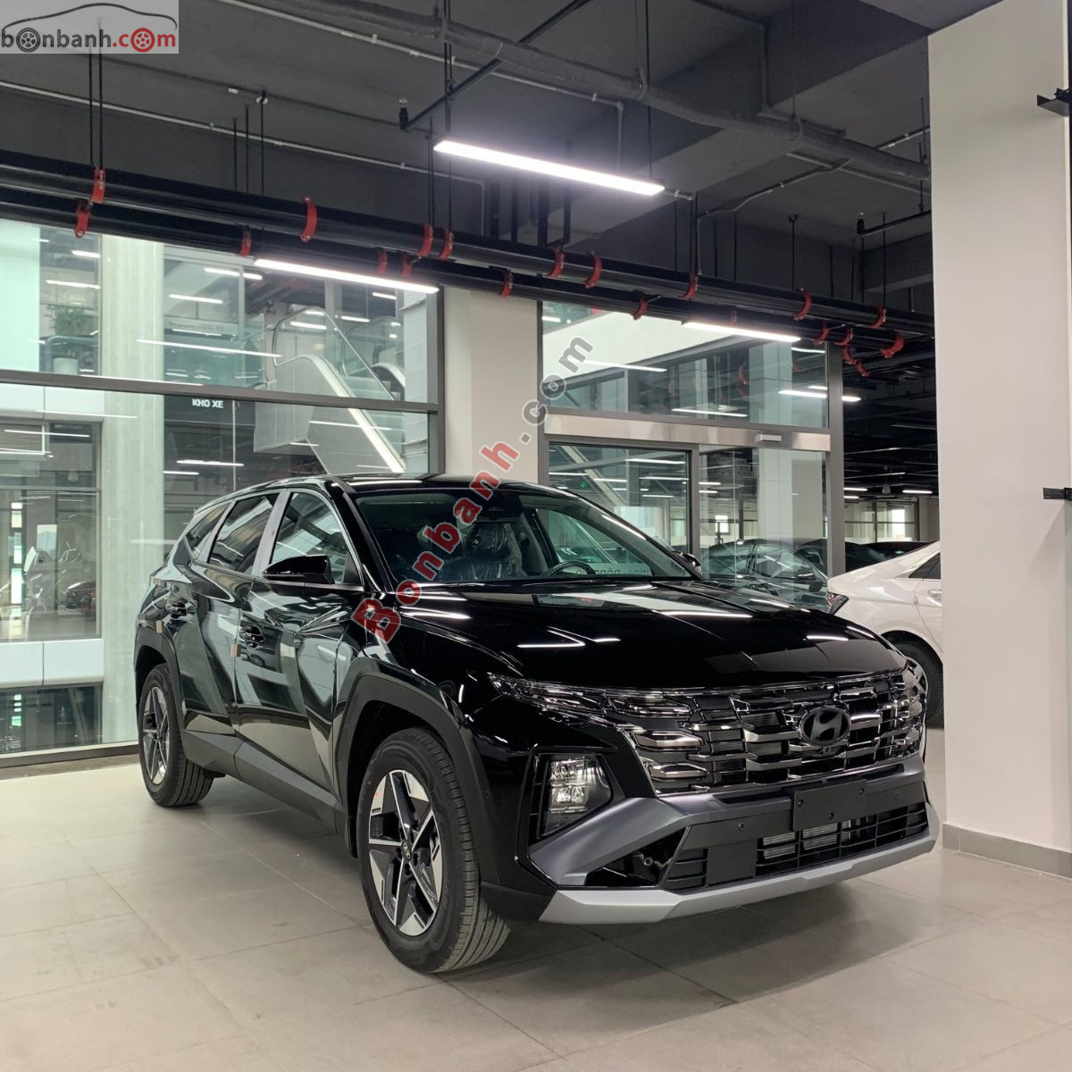 Bán ô tô Hyundai Tucson 2.0 AT Đặc biệt - 2026 - xe mới