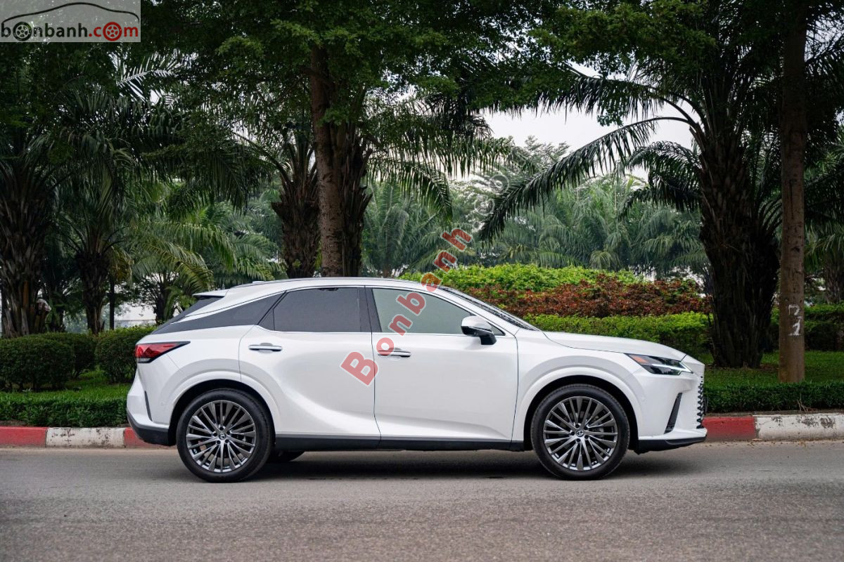 Bán ô tô Lexus RX 350 Luxury - 2023 - xe cũ