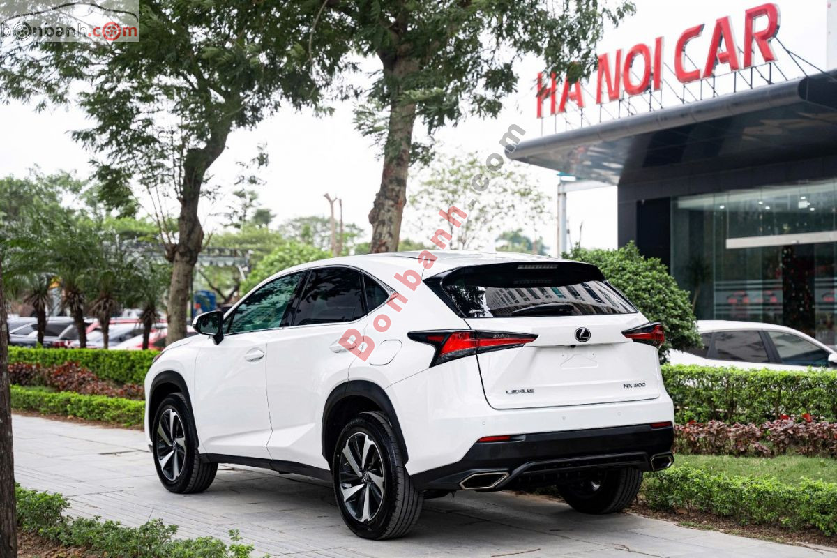 Bán ô tô Lexus NX 300 - 2021 - xe cũ