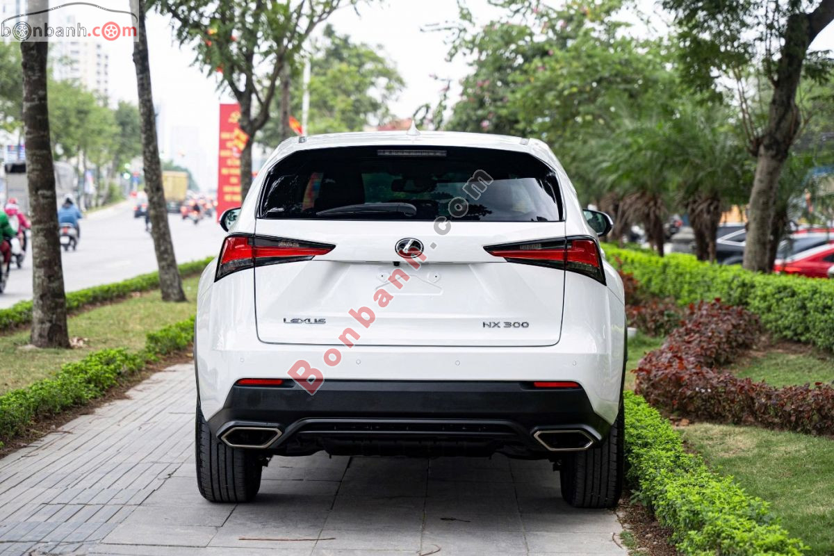 Bán ô tô Lexus NX 300 - 2021 - xe cũ