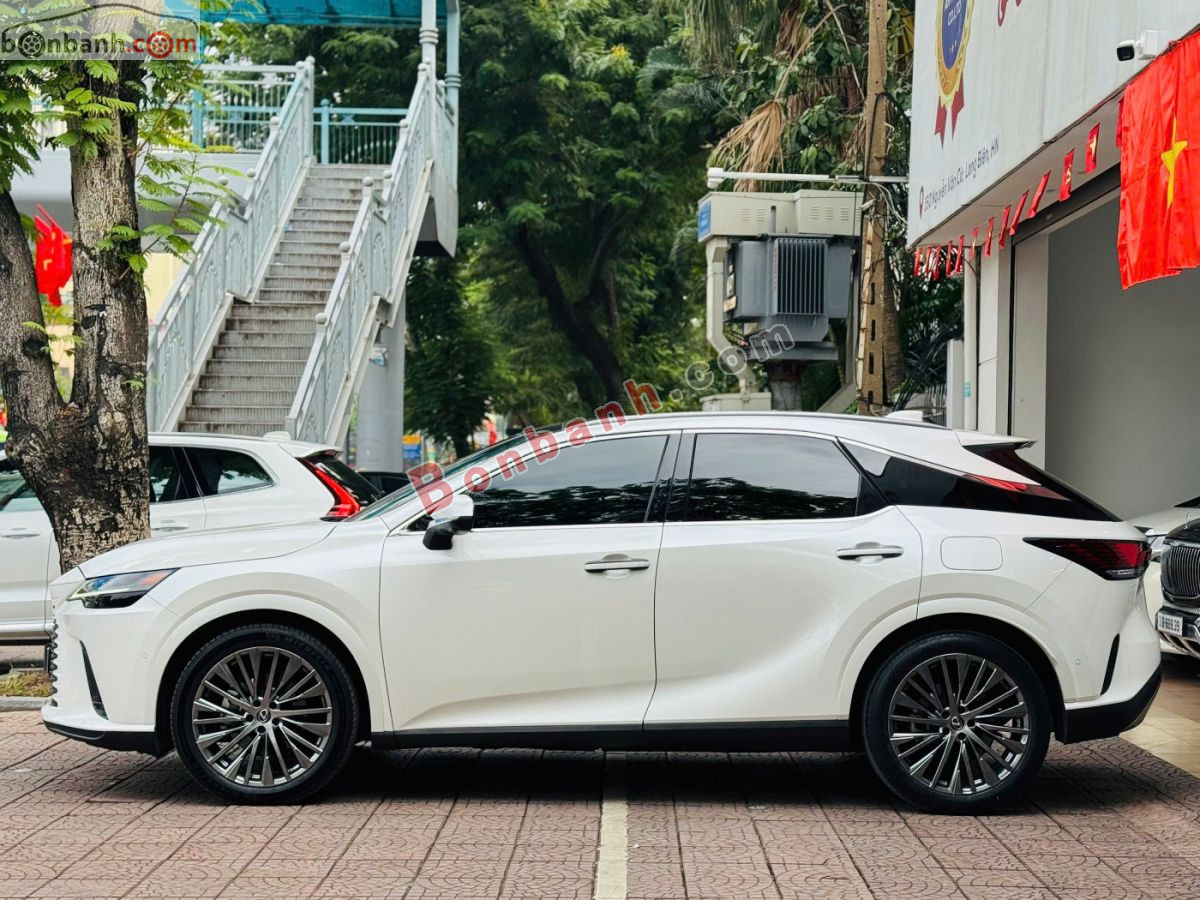 Bán ô tô Lexus RX 350 Luxury - 2023 - xe cũ