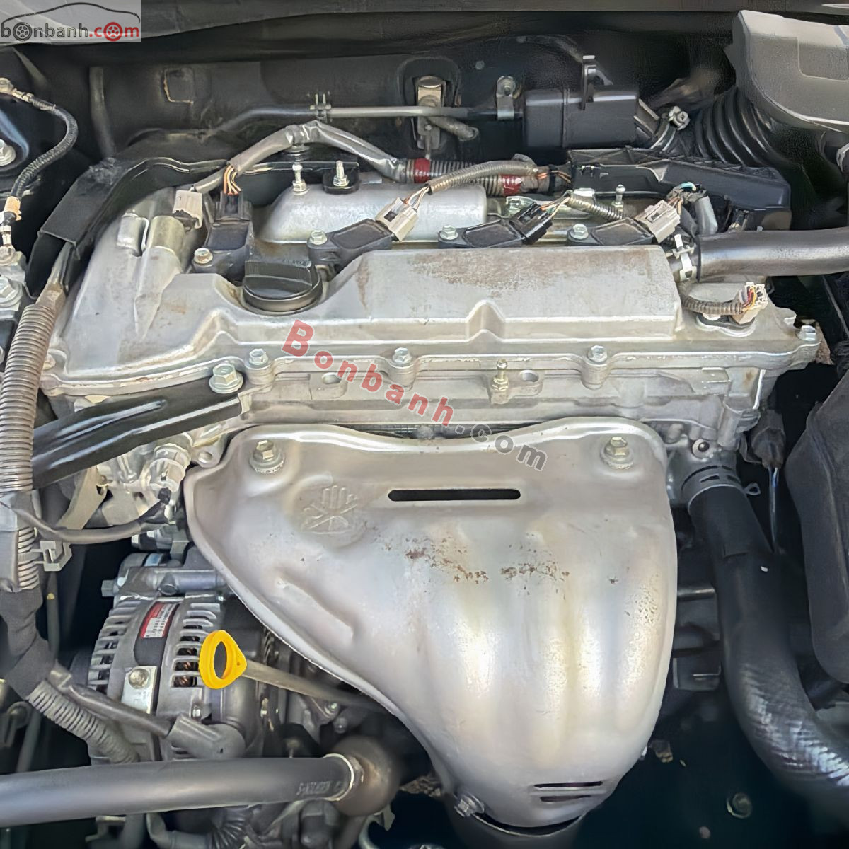 Bán ô tô Toyota Camry LE 2.5 - 2010 - xe cũ