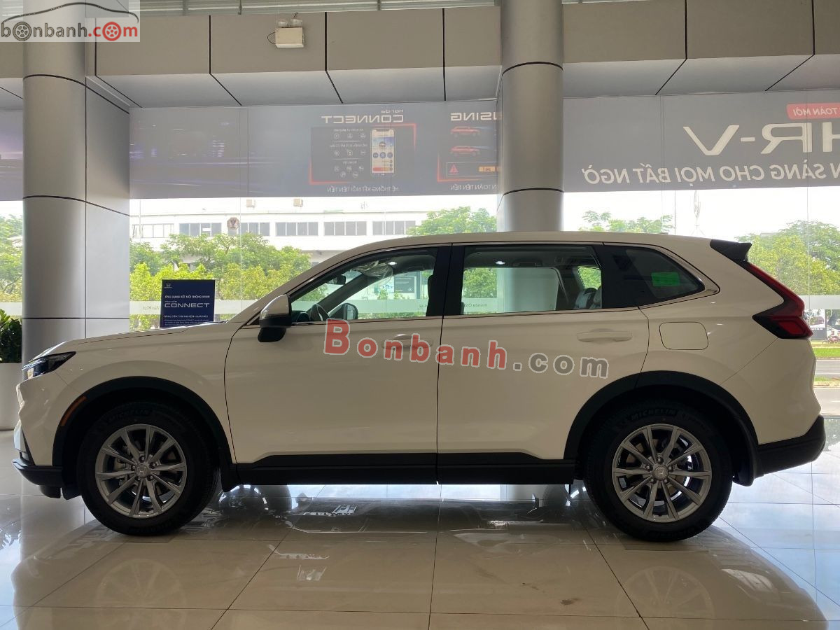 Bán ô tô Honda CRV G - 2026 - xe mới