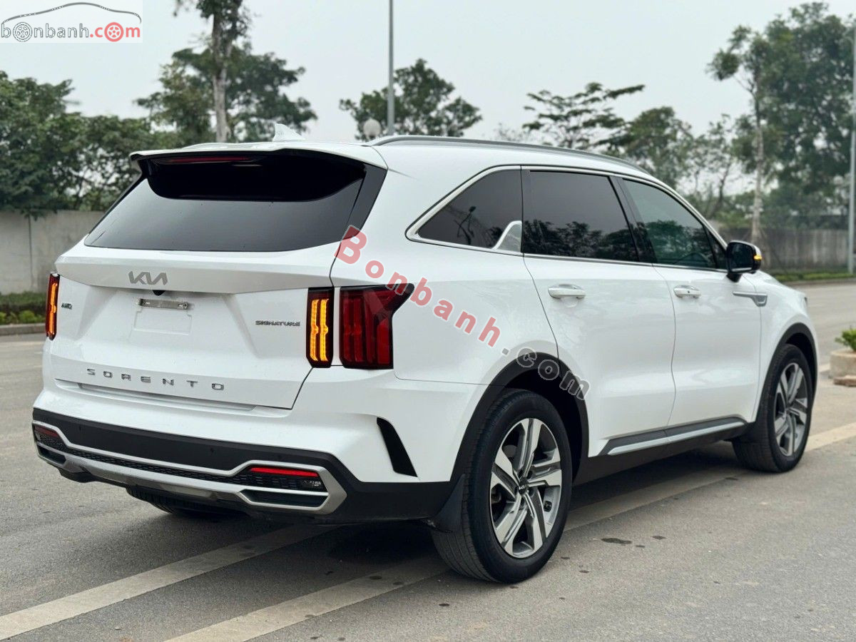 Bán ô tô Kia Sorento Signature 2.5 AT AWD 6S - 2021 - xe cũ
