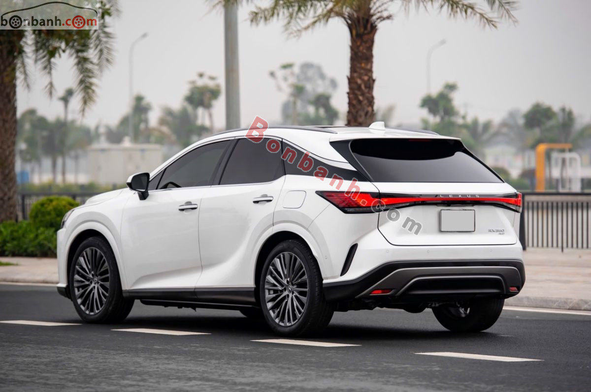 Bán ô tô Lexus RX 350 Luxury - 2022 - xe cũ