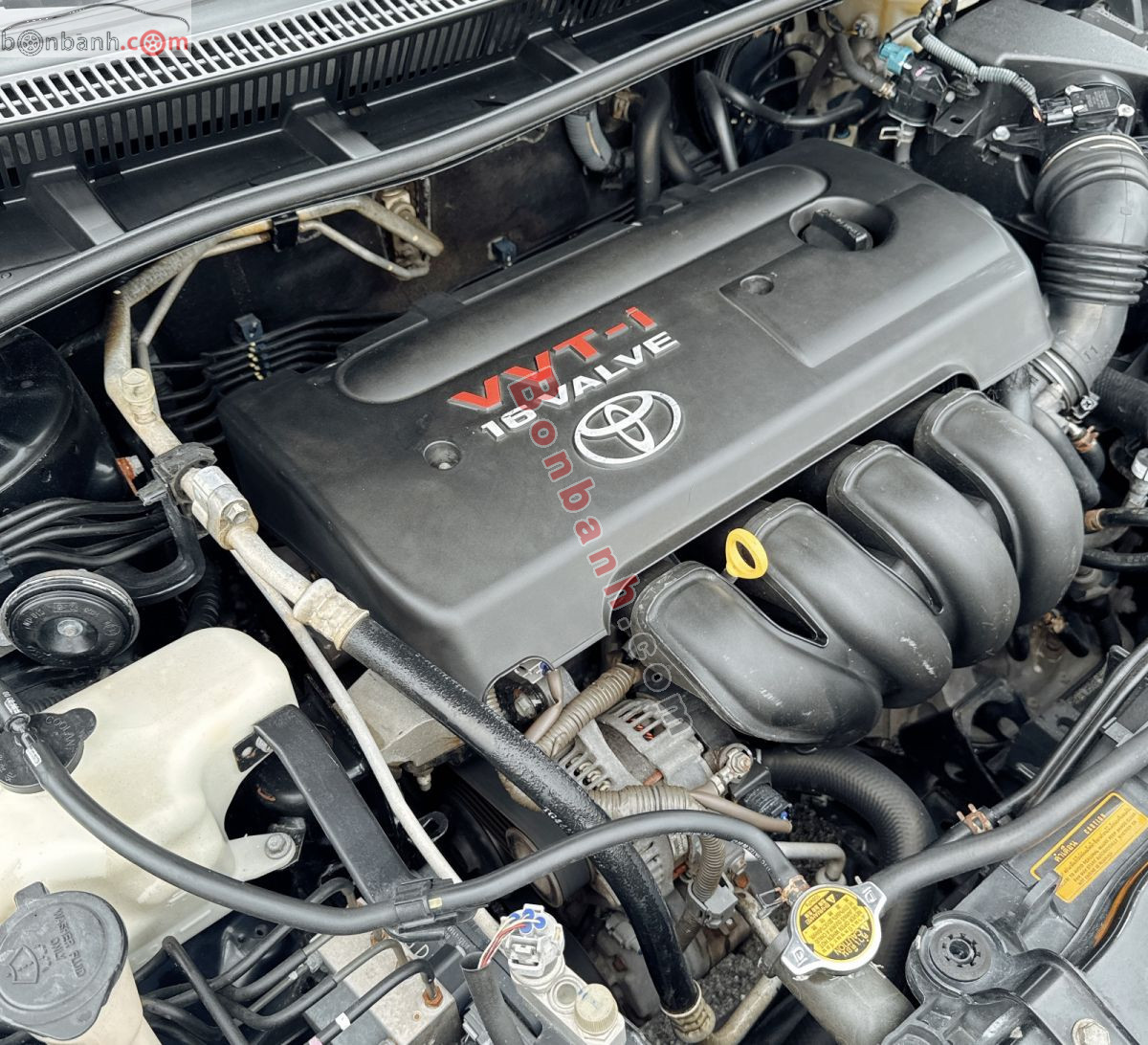 Bán ô tô Toyota Corolla altis 1.8G AT - 2009 - xe cũ