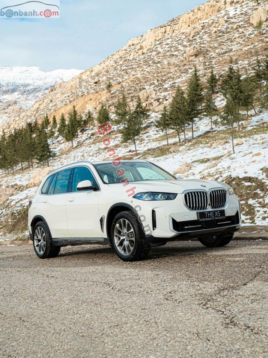 Bán ô tô BMW X5 xDrive40i xLine - 2024 - xe mới