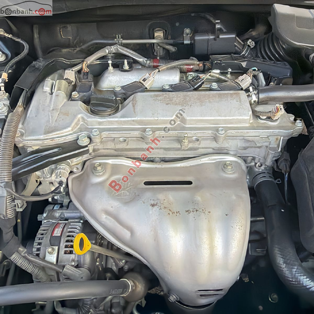 Bán ô tô Toyota Camry LE 2.5 - 2010 - xe cũ