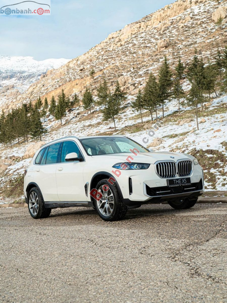 Bán ô tô BMW X5 xDrive40i xLine - 2025 - xe mới