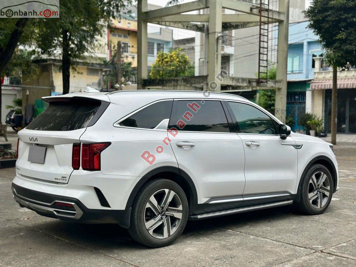Bán ô tô Kia Sorento Signature 2.5 AT AWD - 2023 - xe cũ